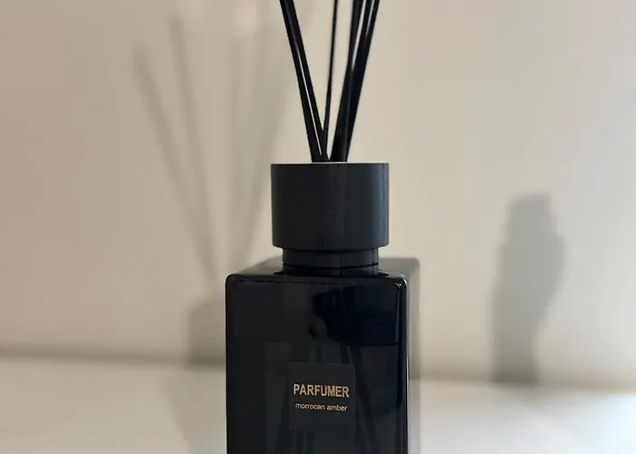 民宿 Birch View Getaway