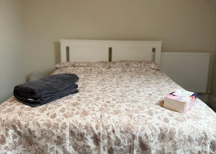 Birch View Getaway 民宿 *