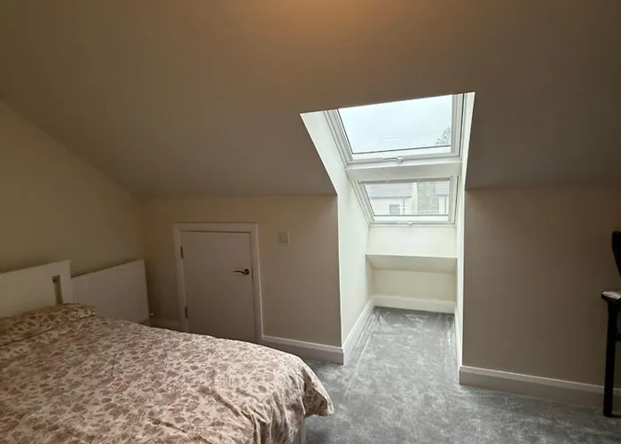 民宿 Birch View Getaway